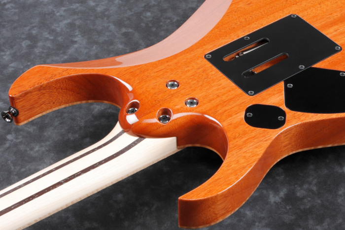 j.custom 2020 New Models - RG8560, RG8520, RG8570Z - Debut